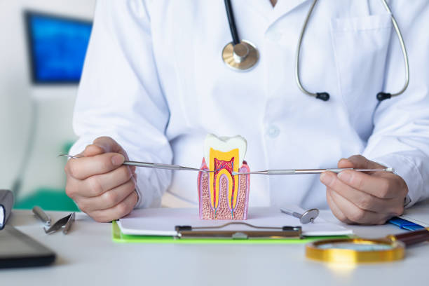 Best Emergency Dental Care for Broken or Chipped Teeth in Funny River, AK